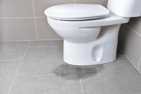 How to Prevent Premature Toilet Repairs Thumbnail